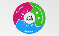 Santé-Environnement