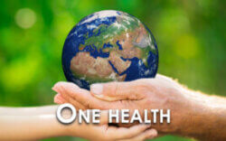 Colloque – Inégalités socio-environnementales de santé - 15 avril 2025